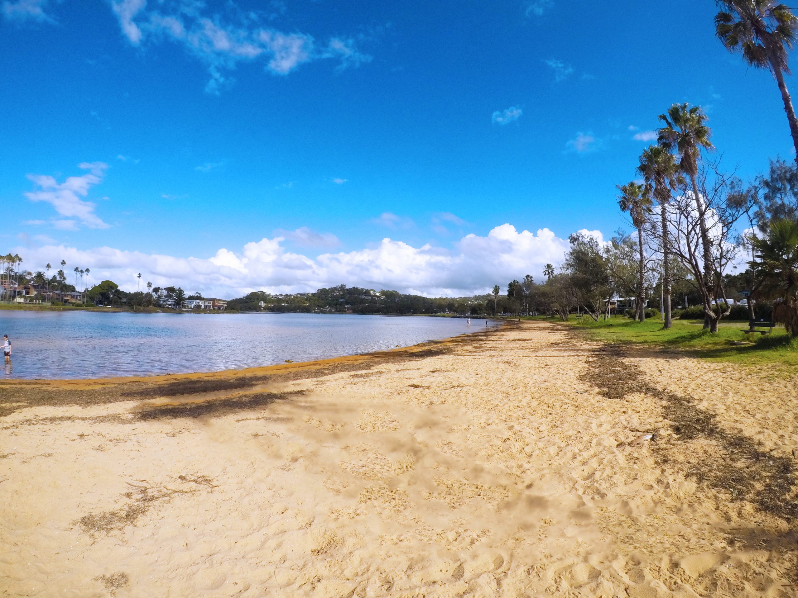 Narrabeen Lake next to NRMA Sydney Lakeside Holiday Park