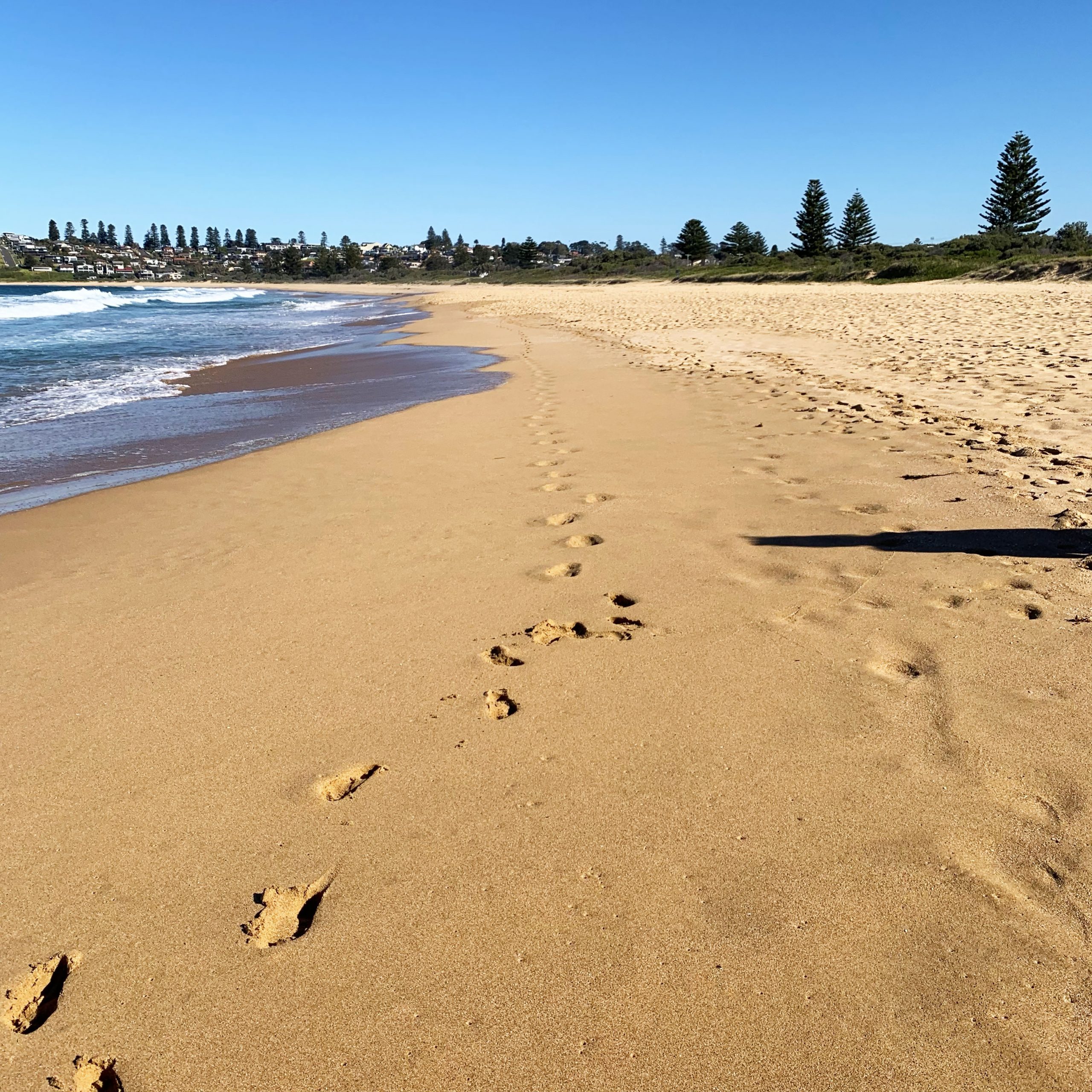photo of beach with footprints
