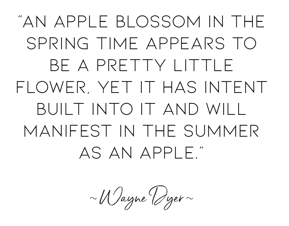 “An apple blossom in the spring time appears to be a pretty little flower, yet it has intent built into it and will manifest in the summer as an apple.” ~ WAYNE DYER ~