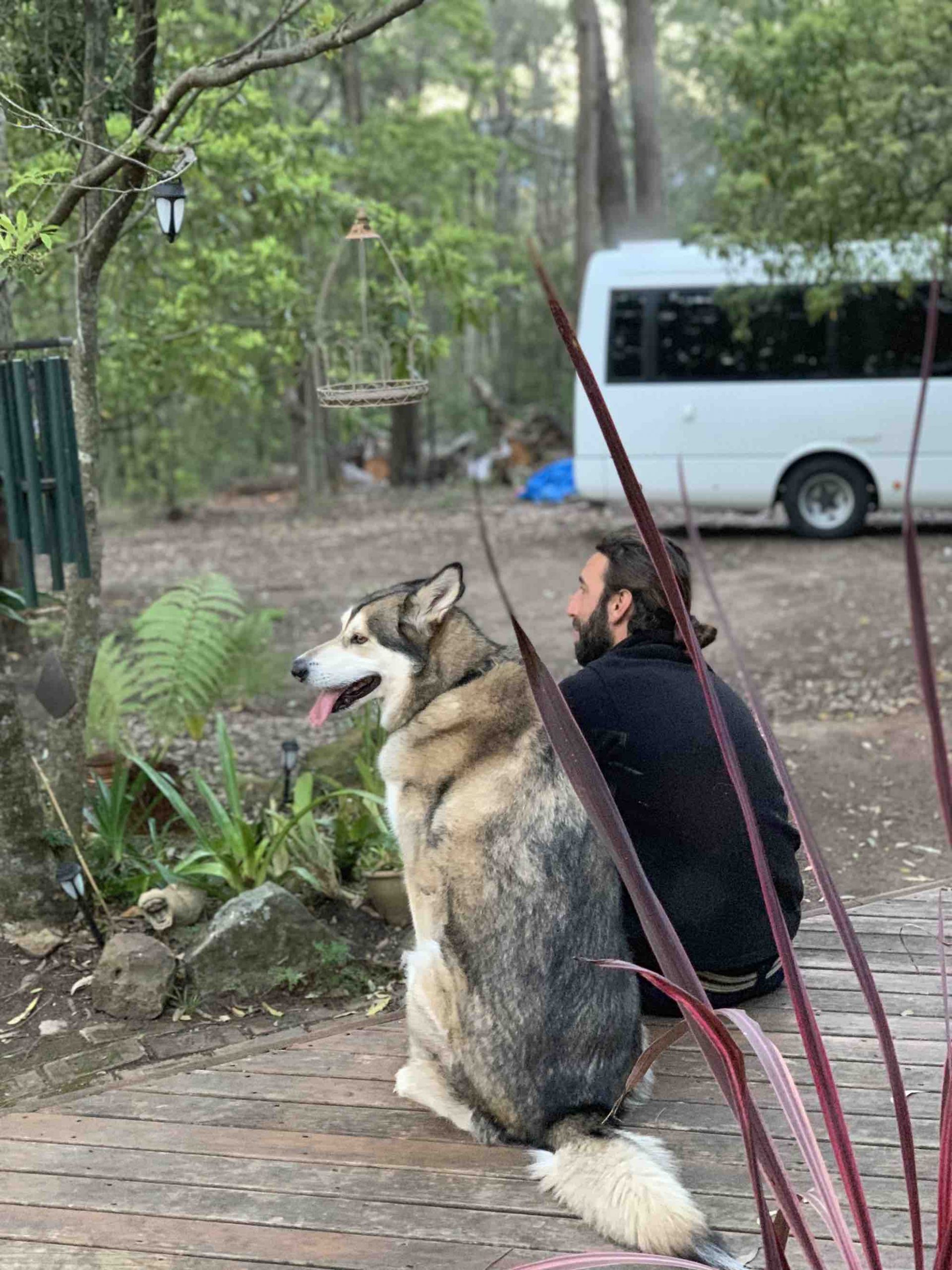 A man and his dog sitting on a deck in silence