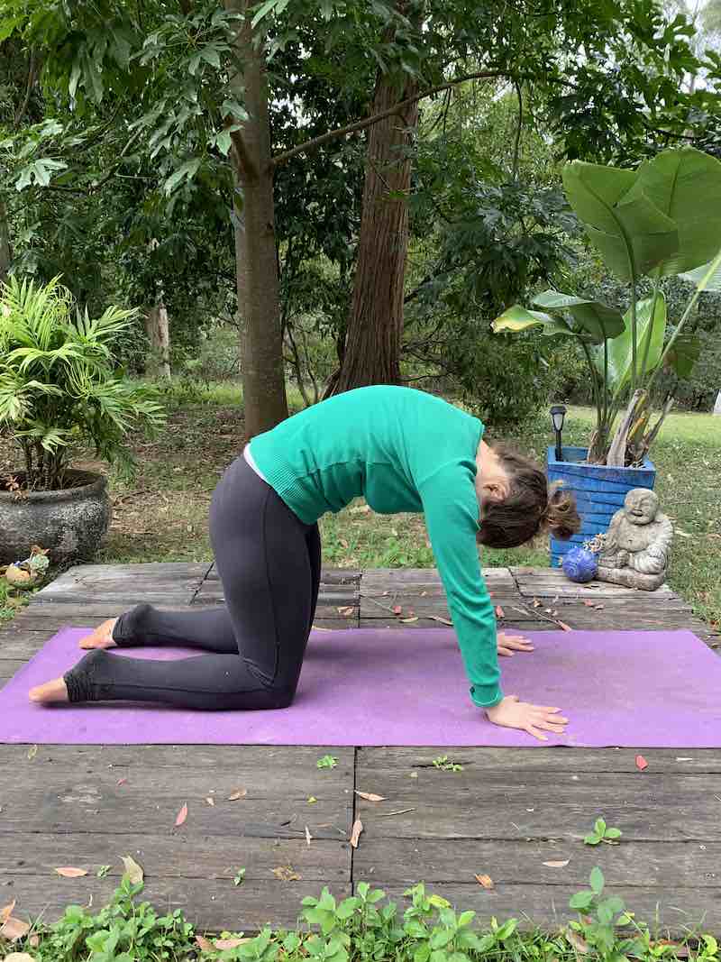 Woman performing the cat aspect of Yoga Pose 'Bidalasana'